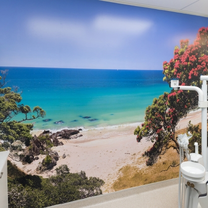 "Slice Of Heaven" 2.8m wide x 4.2m wide, printed onto vinyl in Riverside Dental, Cambridge