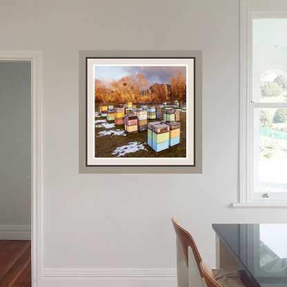 "Golden Beehives" superimposed onto wall, comparing a framed print (here) vs framed canvas (next image)