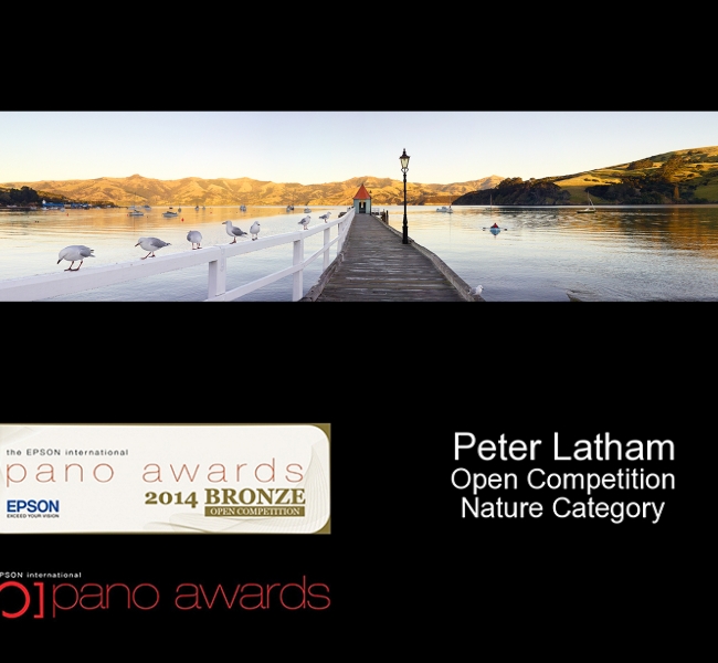 craft epson pano award