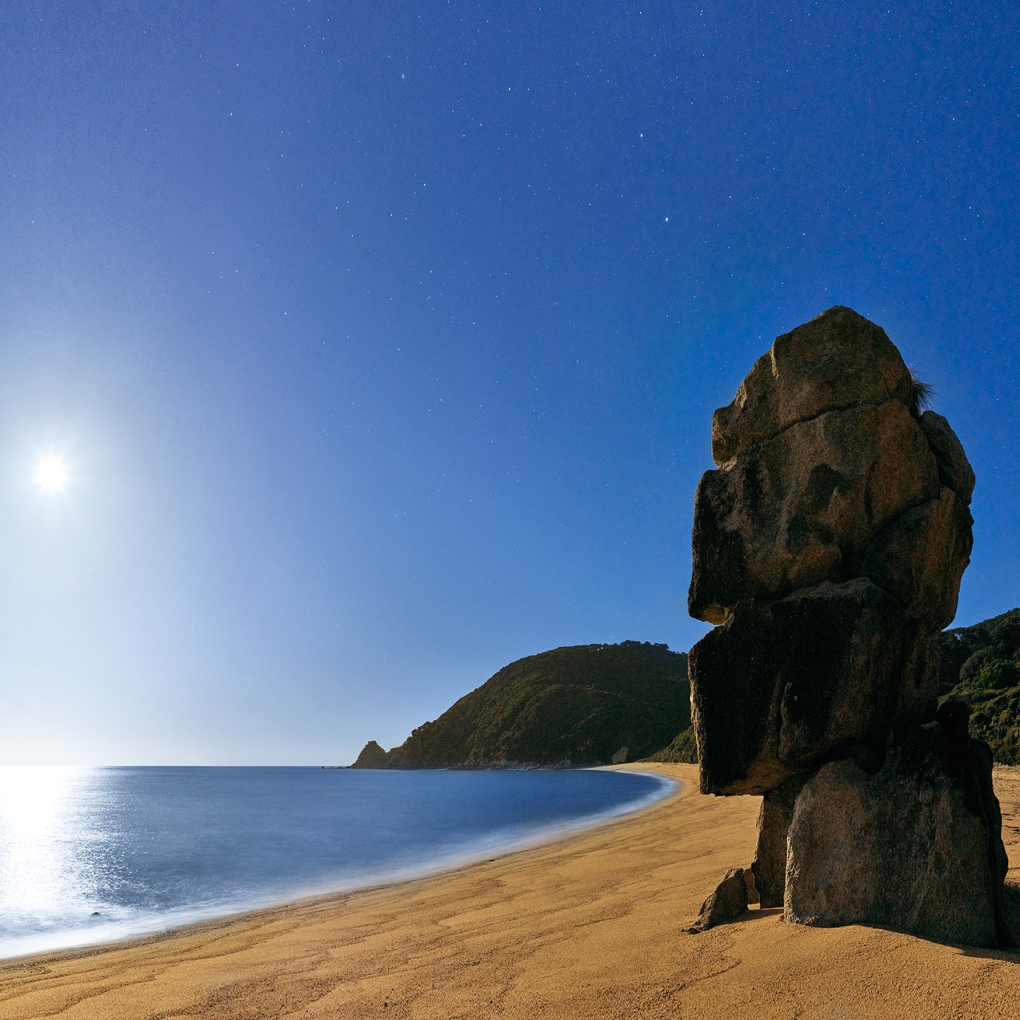 "Kaiwhakatere / The Navigator"