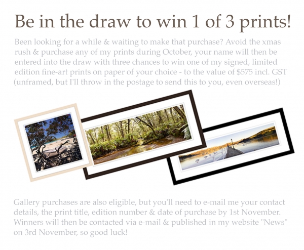 Go In The Draw2