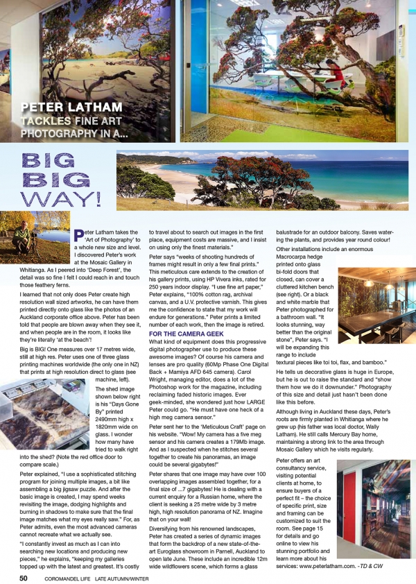 Peter Latham Coromandel Life copy