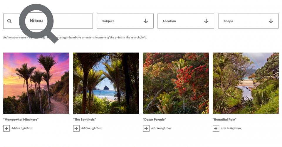 website 2 nikau copy2