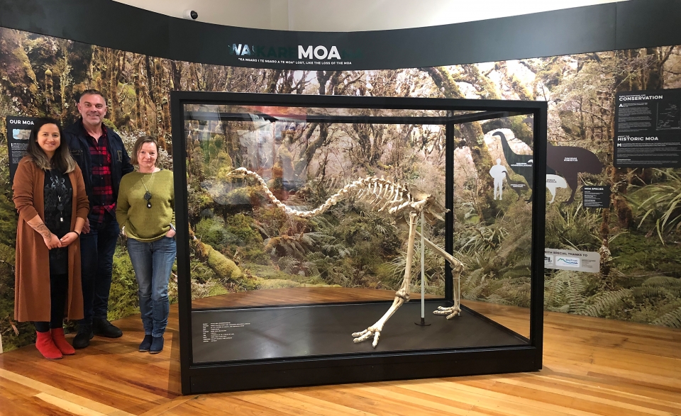Moa exhibit2