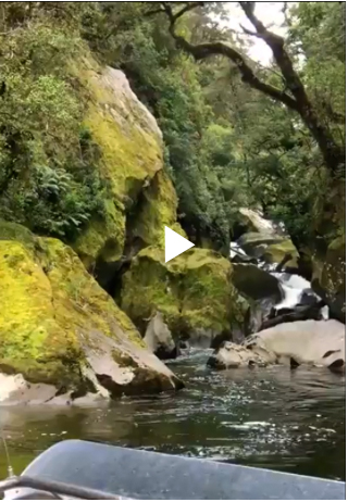 caroline burn video pic