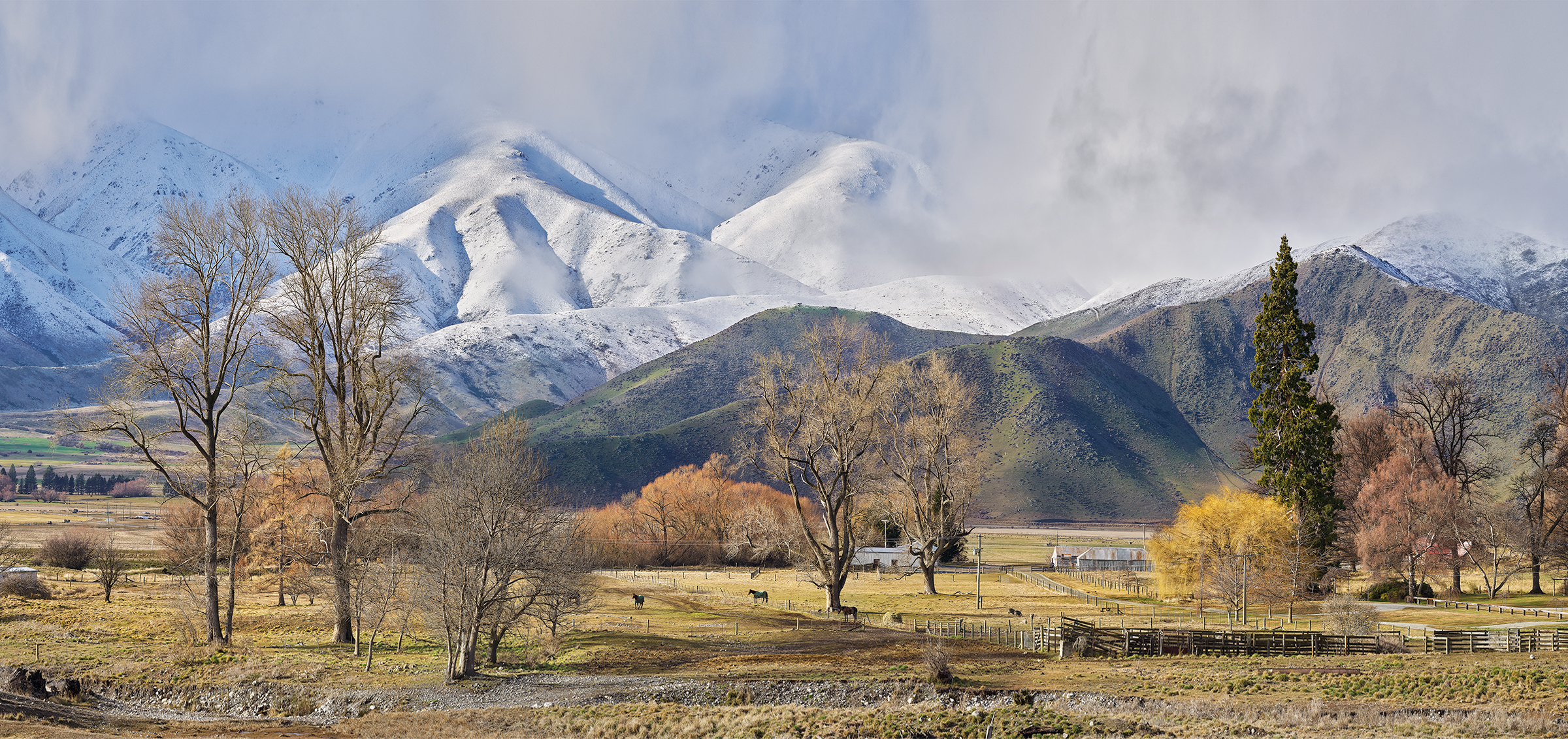 Winters Arrival home page